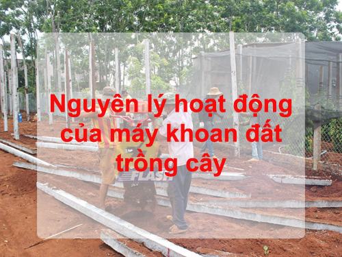 nguyên lý hoạt động của máy khoan lỗ trồng cây